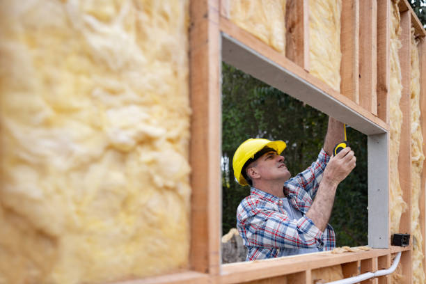 Best Attic Insulation Installation  in Anthony, NM